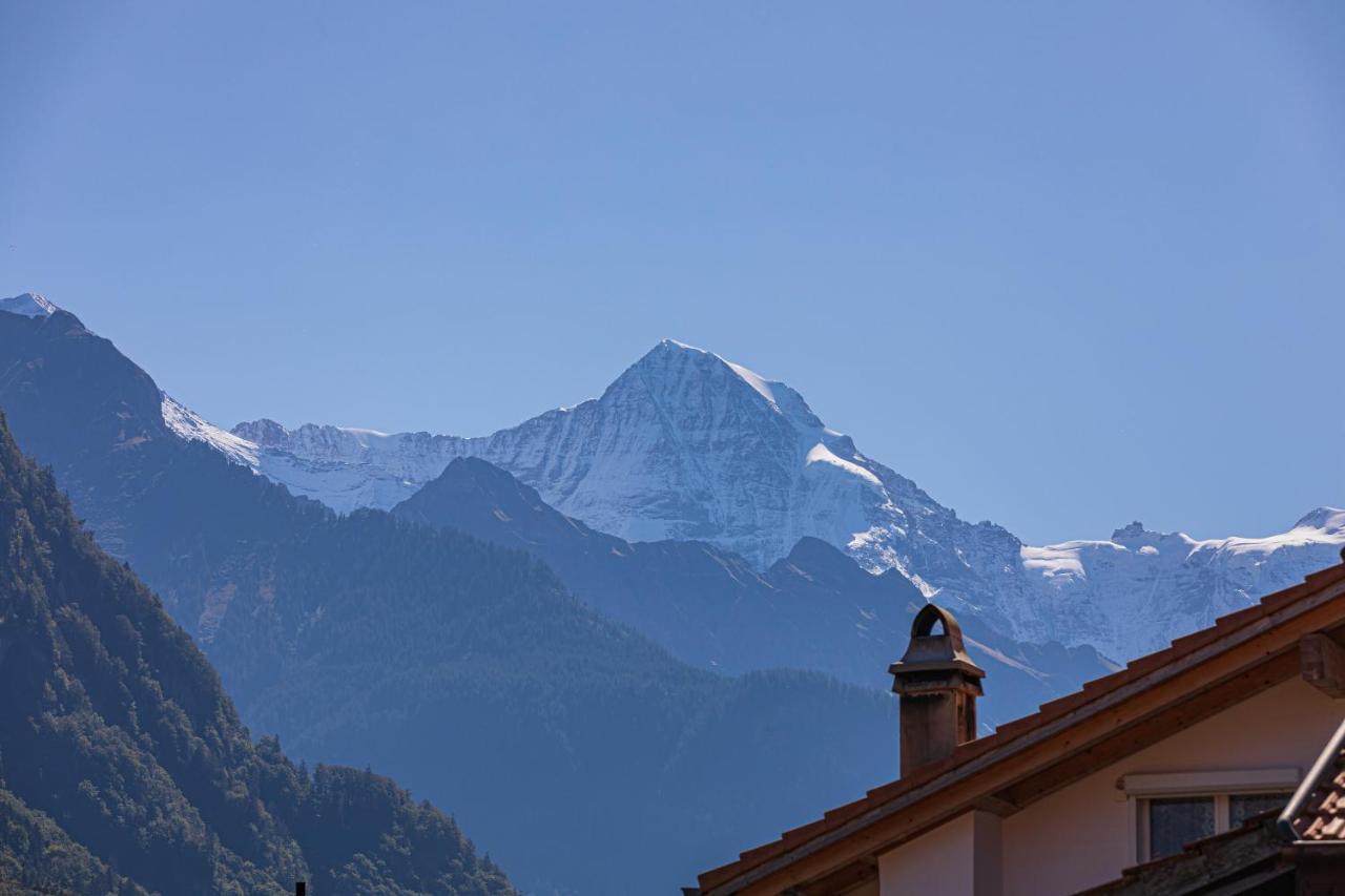 Chalet Gousweid- Harder Apartment Wilderswil Buitenkant foto